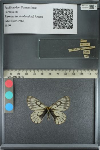 Media type: image;   Entomology 180173